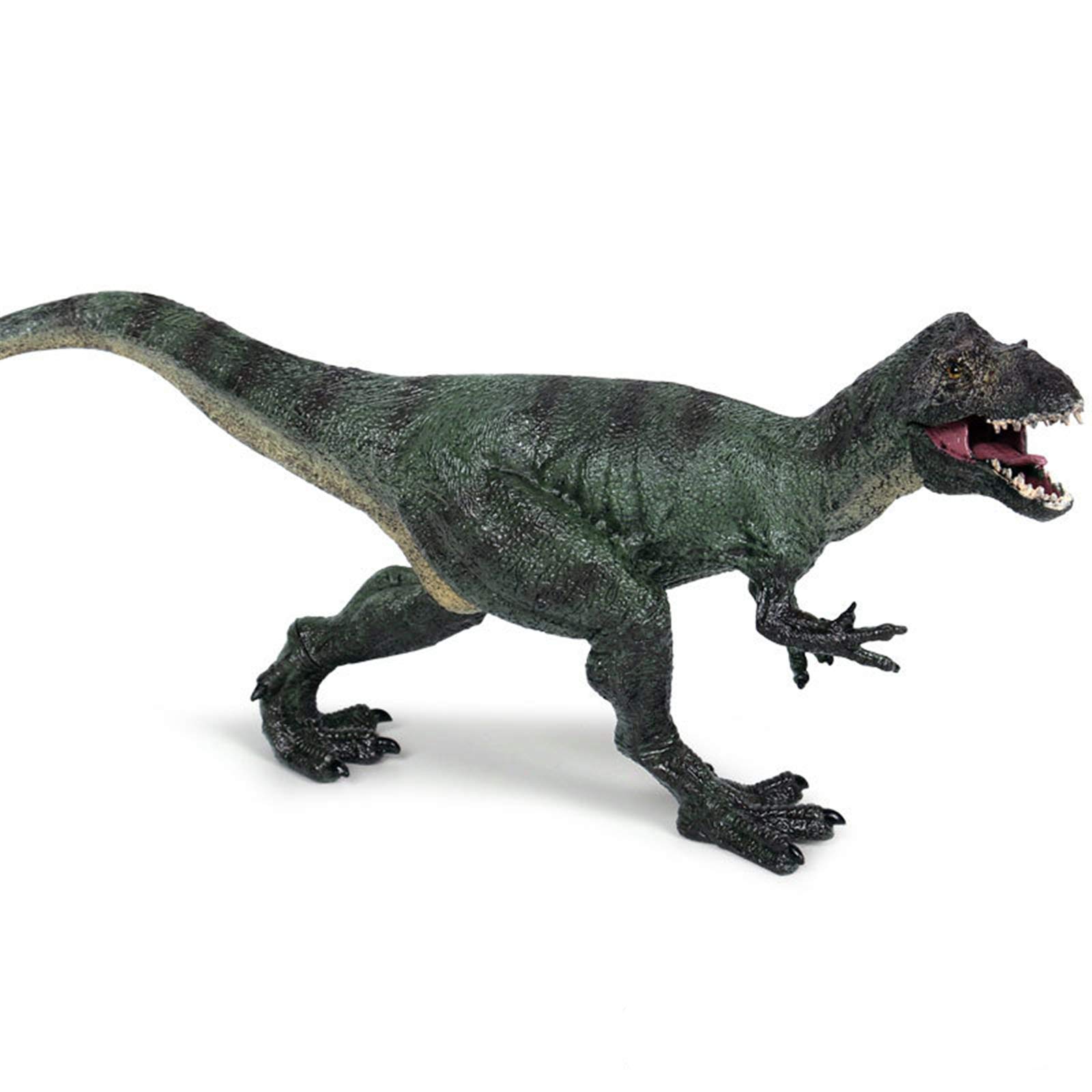 Amazon | Eden Toys ユウティラヌス 恐竜 フィギュア プラモデル